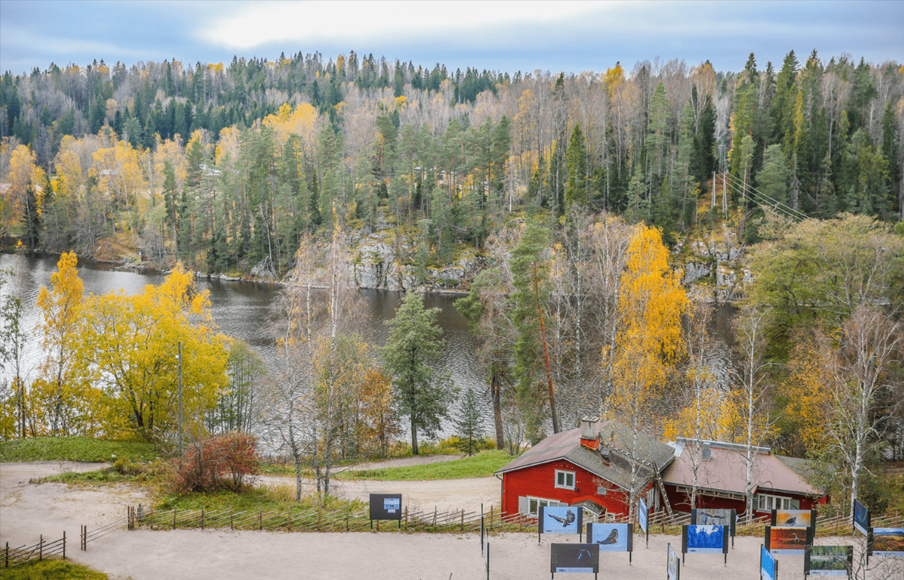 Nature Camping and Hiking in Nuuksio National Park
